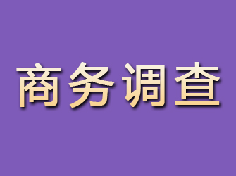 敦化商务调查